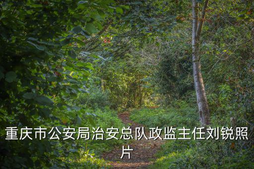 重慶市公安局治安總隊政監主任劉銳照片