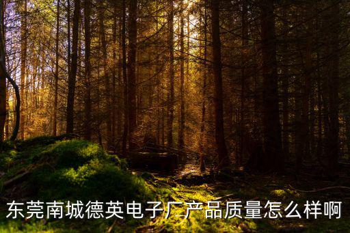 東莞德普特怎么樣啊，東莞大嶺山大片美德普特電子廠怎么樣