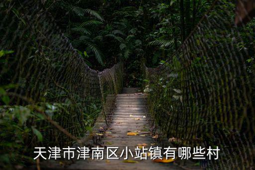 天津市津南區(qū)小站鎮(zhèn)有哪些村