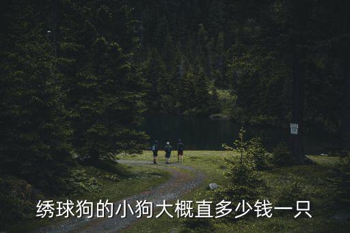 繡球狗的小狗大概直多少錢一只
