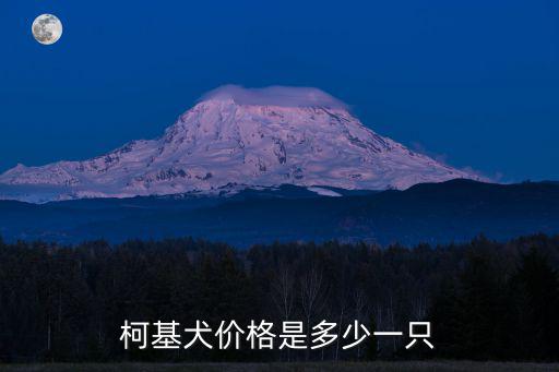 柯基犬價格是多少一只