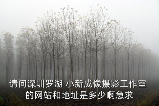 請問深圳羅湖 小新成像攝影工作室 的網站和地址是多少啊急求