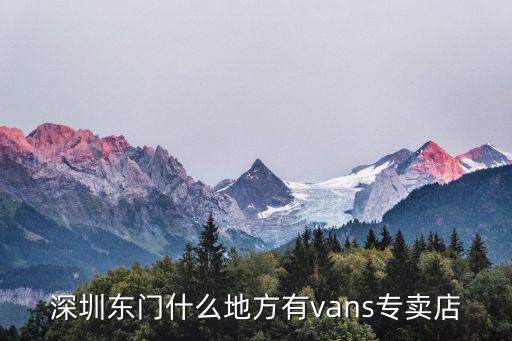 深圳東門有泰蘭尼斯童鞋店，深圳東門ALLSTAR專賣店的具體位置正版的