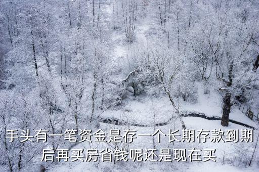 手頭有一筆資金是存一個長期存款到期后再買房省錢呢還是現在買