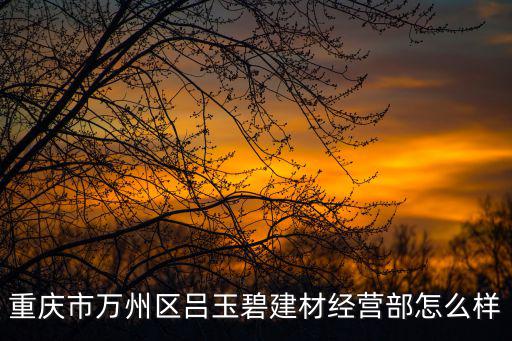 重慶市萬州區呂玉碧建材經營部怎么樣