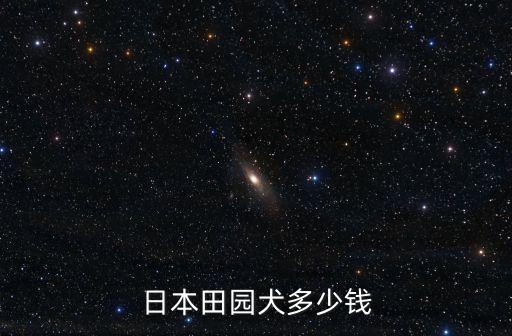 日本田園犬多少錢