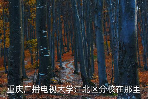 重慶廣播電視大學(xué)江北區(qū)分校在那里