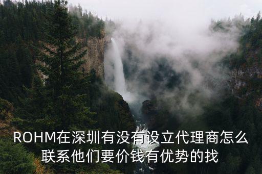 深圳多瑪閉門器總代理，ROHM在深圳有沒有設立代理商怎么聯系他們要價錢有優勢的找