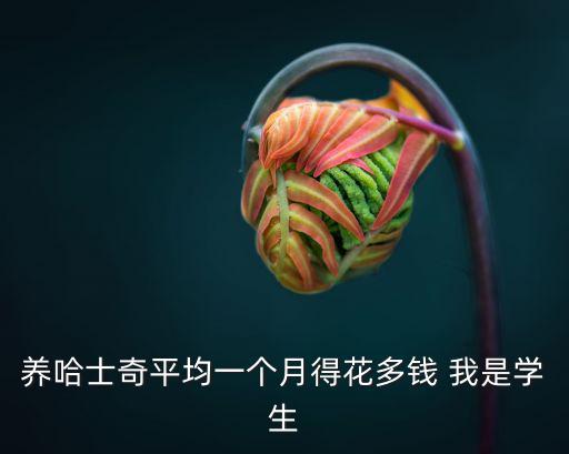 養哈士奇平均一個月得花多錢 我是學生