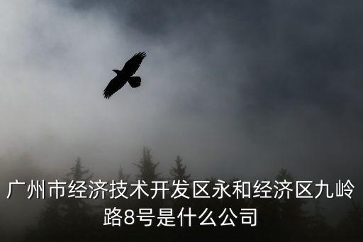 廣州市經(jīng)濟技術(shù)開發(fā)區(qū)永和經(jīng)濟區(qū)九嶺路8號是什么公司