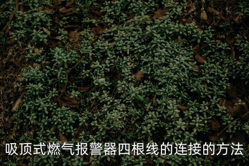 吸頂式燃?xì)鈭缶魉母€的連接的方法
