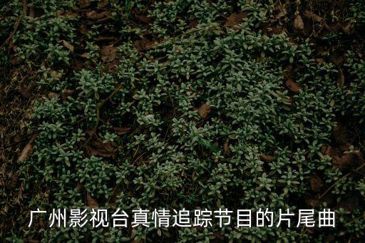 廣州影視臺真情追蹤節目的片尾曲