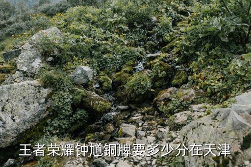 王者榮耀鐘馗銅牌要多少分在天津