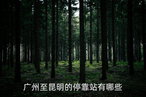 廣州至昆明的停靠站有哪些