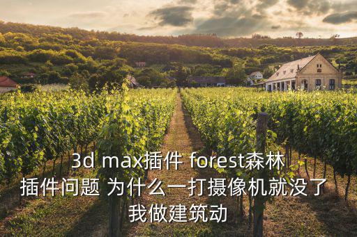 3d max插件 forest森林插件問題 為什么一打攝像機就沒了 我做建筑動