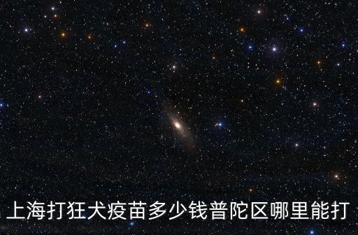 上海 給寵物打狂犬疫苗多少錢，打狂犬疫苗多少錢上海