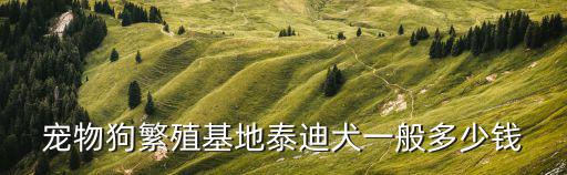 狗場泰迪多少錢，寵物狗繁殖基地泰迪犬一般多少錢