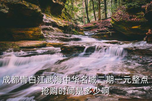 成都市武海中華錦繡二期，成都青白江武海中華名城二期一元整點搶購時間是多少啊