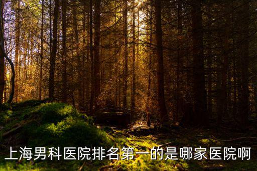 上海男科醫(yī)院排名第一的是哪家醫(yī)院啊