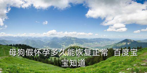 狗假孕多少時間會好，狗狗懷孕需要多長時間
