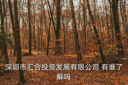 深圳市華銀匯投資發(fā)展有限公司，深圳市匯合投資發(fā)展有限公司 有誰了解嗎