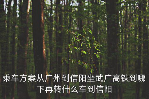 乘車方案從廣州到信陽坐武廣高鐵到哪下再轉什么車到信陽