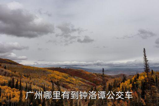 廣州到鐘落譚，廣州哪里有到鐘洛譚公交車
