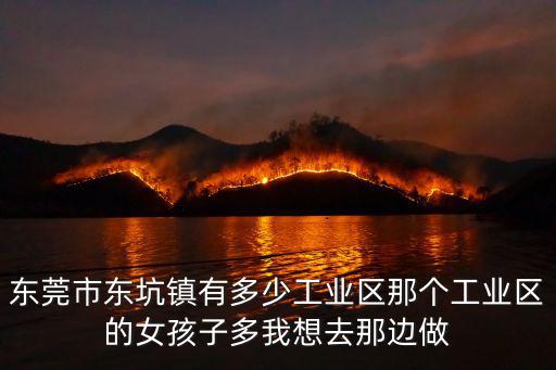 東莞東坑有什么工業區，東莞東坑最大的工業區是哪里