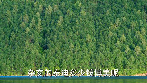 有雜毛的泰迪多少錢，一只雜交泰迪多少錢是灰色的毛是小卷