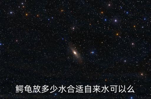 鱷龜放多少水合適自來水可以么