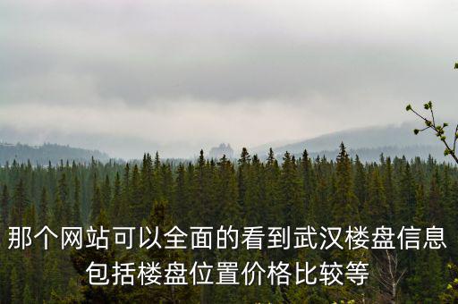 那個網站可以全面的看到武漢樓盤信息包括樓盤位置價格比較等