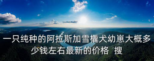 阿拉斯加犬寶寶多少錢，購買血統阿拉斯加雪橇犬幼崽多少錢一只