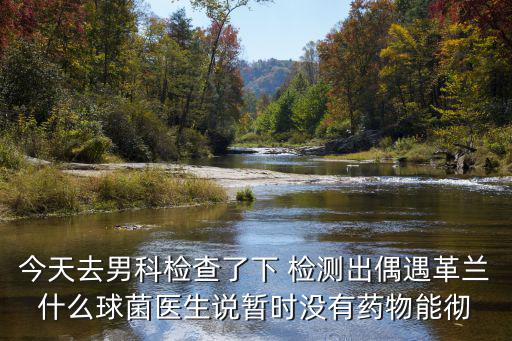 今天去男科檢查了下 檢測出偶遇革蘭什么球菌醫(yī)生說暫時沒有藥物能徹
