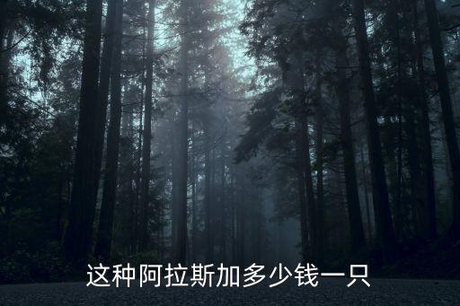 這種阿拉斯加多少錢一只