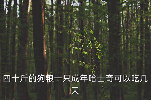 哈士奇一個多月吃多少狗糧，一個月大的狗狗喂多少狗糧合適