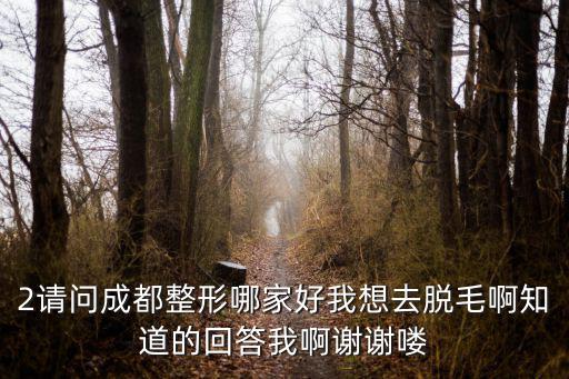 2請問成都整形哪家好我想去脫毛啊知道的回答我啊謝謝嘍