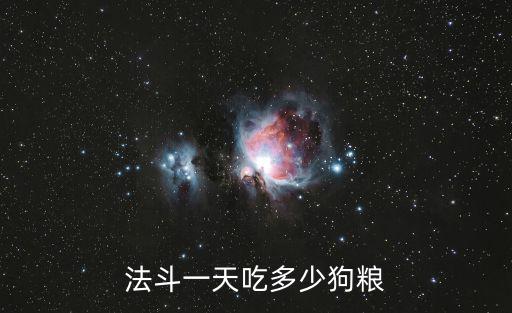 法斗一天吃多少狗糧