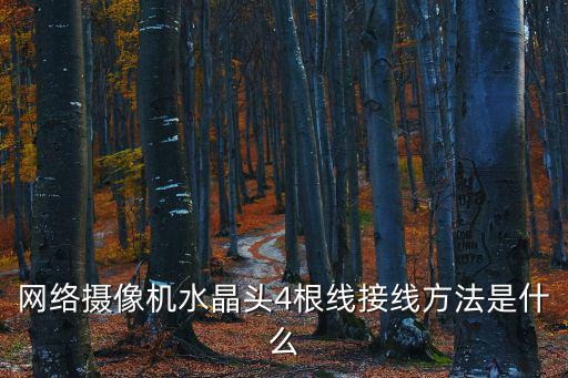 網絡攝像頭線路怎么接線，嶺雁科技網絡攝像頭母頭壞了怎么接線