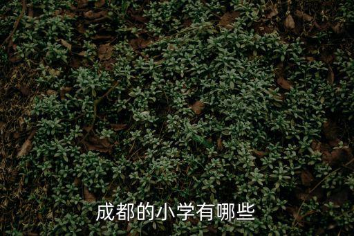 成都的小學有哪些