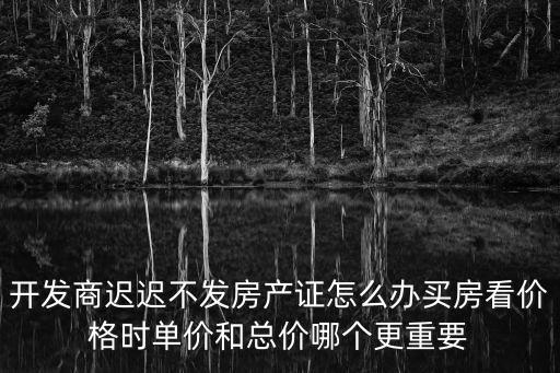房價單價和總價哪個重要，房子總價怎么算