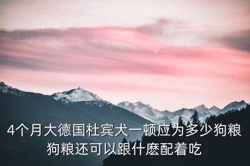 四個月杜賓一頓吃多少錢，5個多月大的杜賓一天吃多少狗糧啊