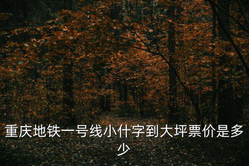 重慶市紅旗河溝座地鐵到大坪，重慶地鐵一號線小什字到大坪票價是多少