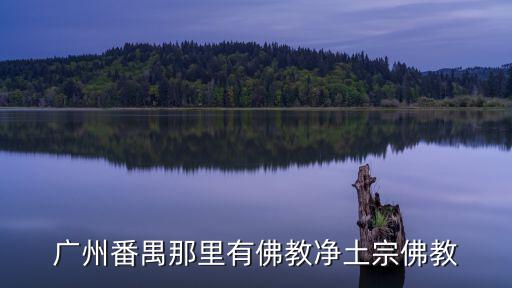 廣州大佛寺是凈土宗，廣州大佛寺有專門念佛號修凈土的班嗎如何加入
