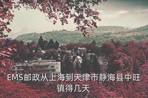 天津市靜海區中旺幫，中旺鎮的介紹