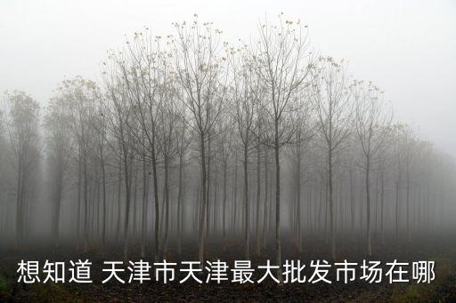 想知道 天津市天津最大批發(fā)市場(chǎng)在哪