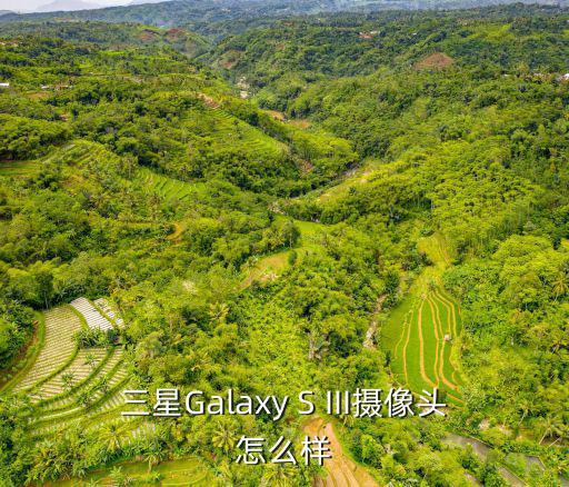 三星Galaxy S III攝像頭怎么樣