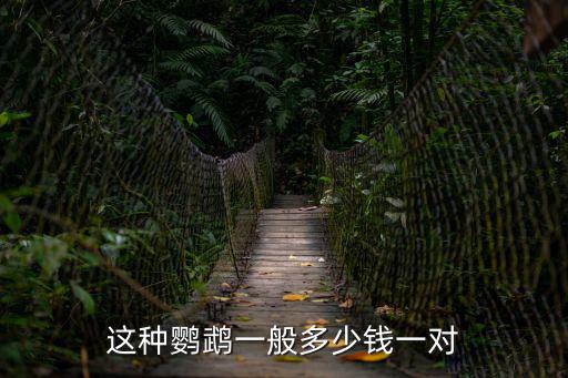 這種鸚鵡一般多少錢一對