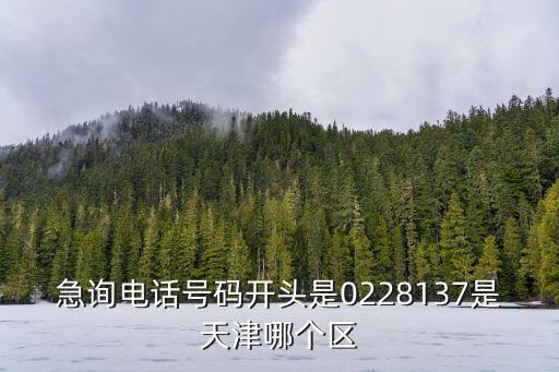 急詢電話號碼開頭是0228137是天津哪個區
