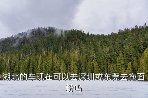 現在湖北到深圳可以走嗎，湖北往深圳怎么走