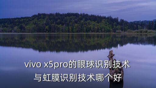 高通安防怎么樣，華為的攝像頭高通的攝像跟海康威視的一塊能用嗎